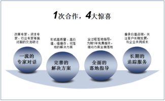 双百行动 引领发展的专业信息咨询服务